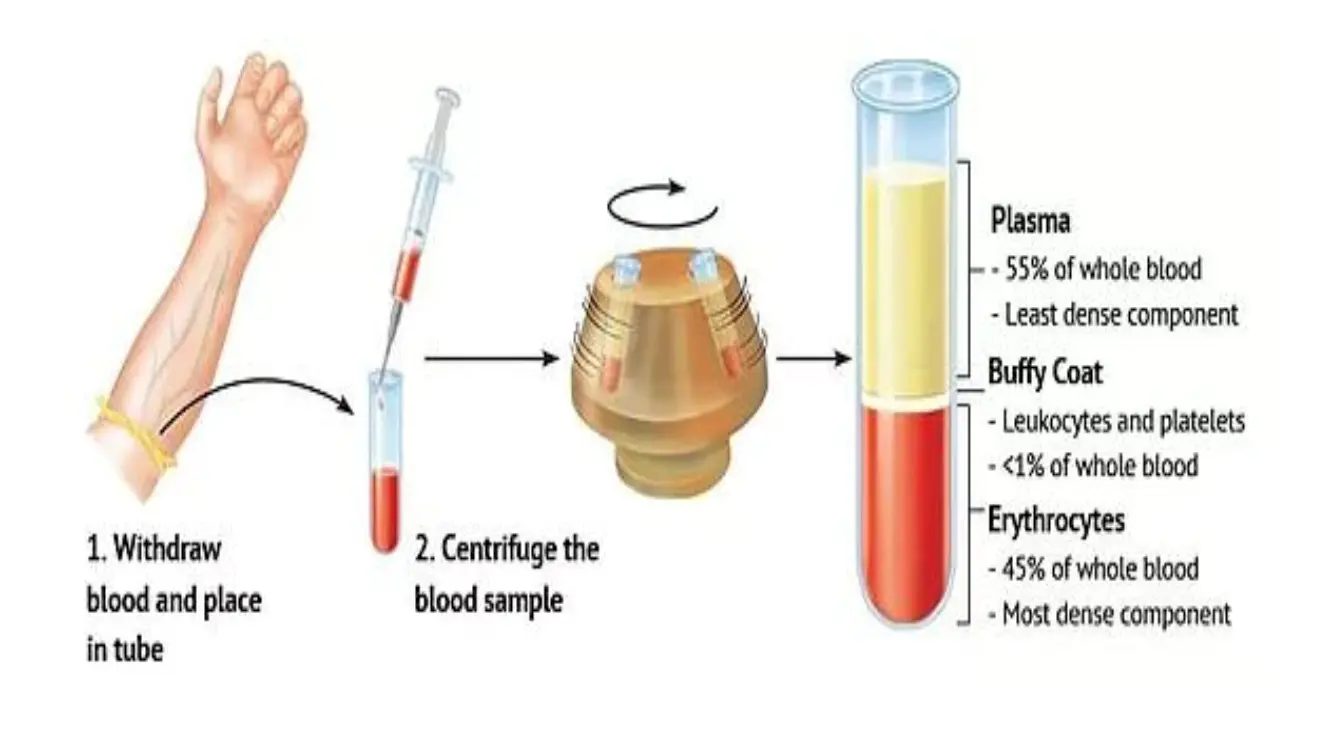 How does PRP work?